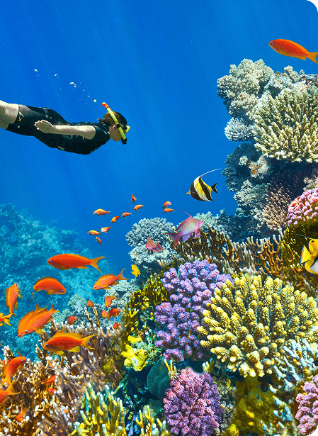 Sharm El Sheikh experiences