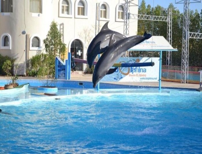 Dolphin Park Sharm El Sheikh