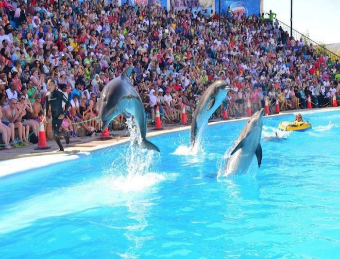 Dolphin Park Sharm El Sheikh